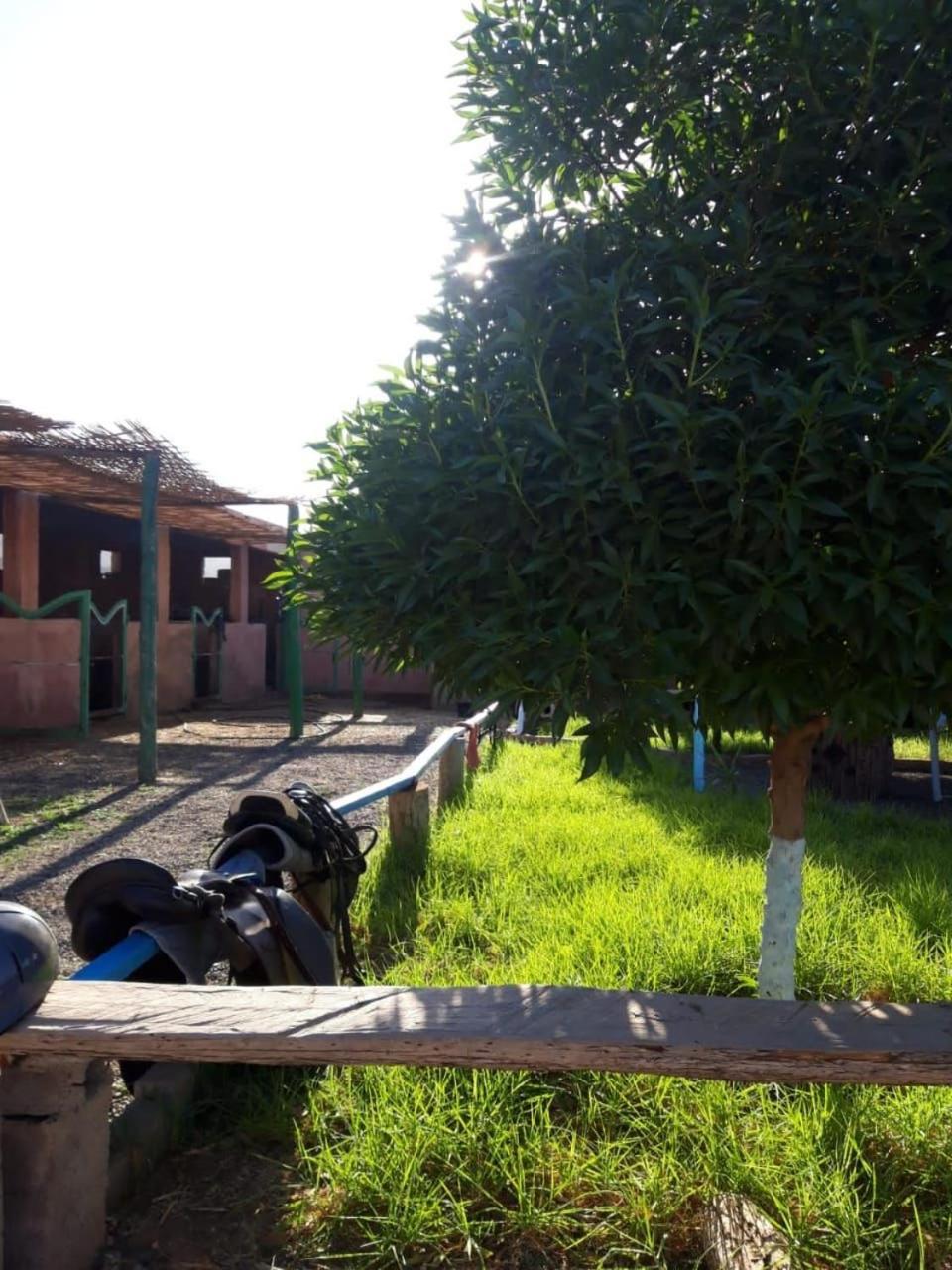 Les Cavaliers Chez Yassine Villa Marrakesh Exterior foto