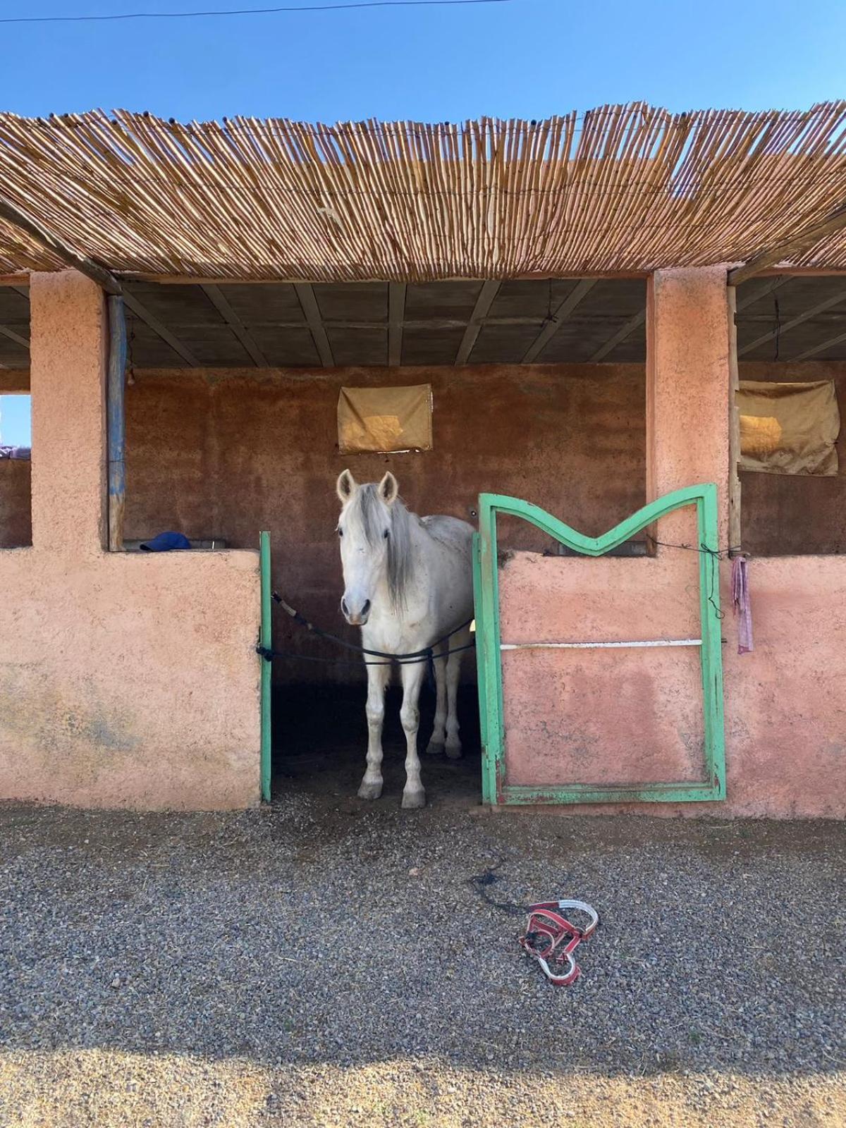 Les Cavaliers Chez Yassine Villa Marrakesh Exterior foto