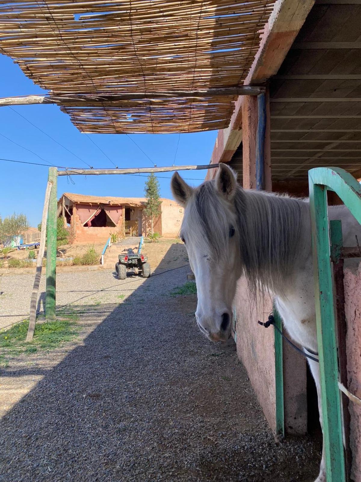 Les Cavaliers Chez Yassine Villa Marrakesh Exterior foto